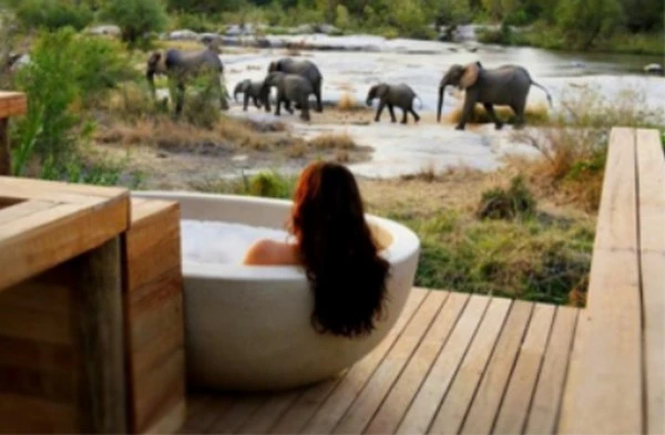 hotels with views of the wildlife of the reserve