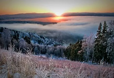 Belokurikha in winter