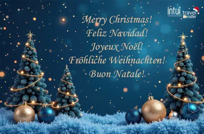 Merry Christmas and Happy New 2025 Year!