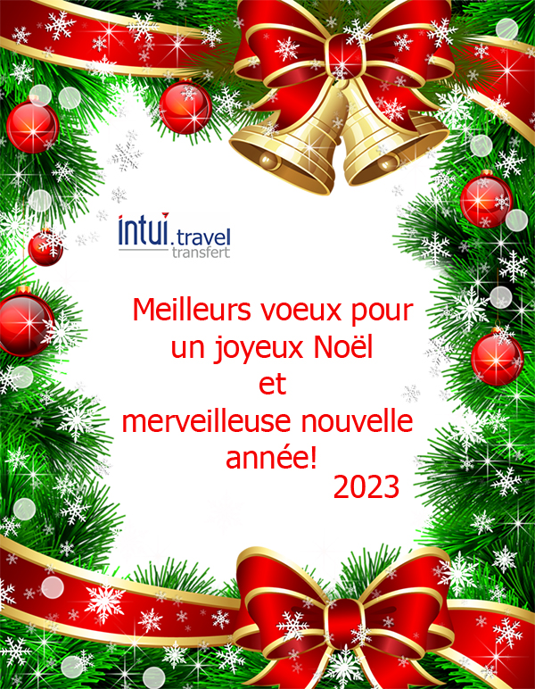 ❄️Nous vous souhaitons sincèrement Joyeux Noël et Bonne Année 2023 !❄️