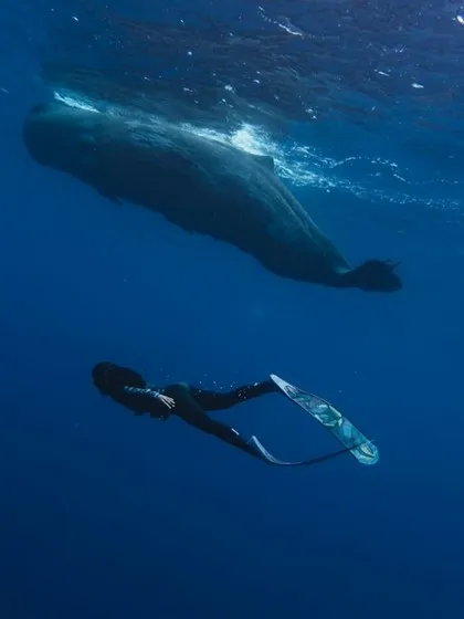 Diving in Mauritius