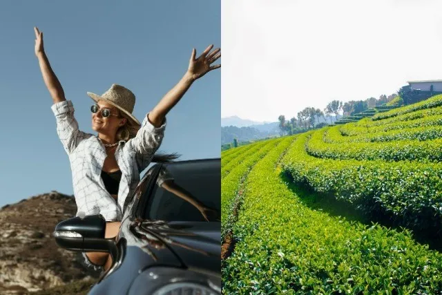 Fun trip to tea plantations