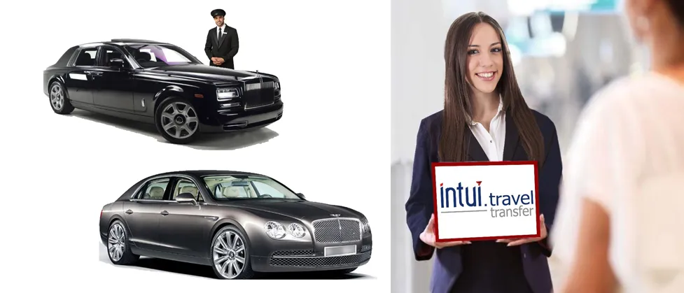 Luxury class car models for transfer