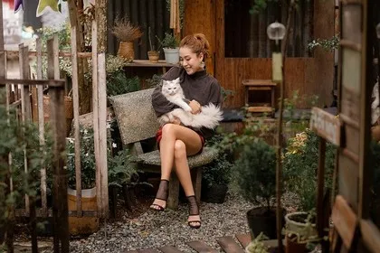 Visit Ottawa with pets